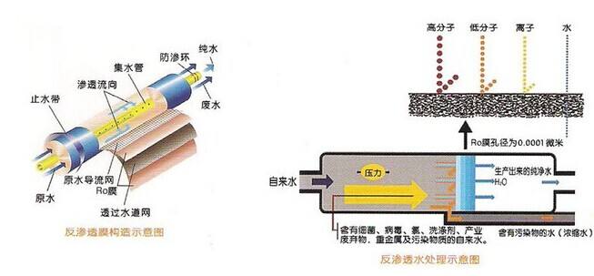 工業(yè)全自動EDI純水處理設(shè)備